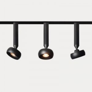 Magnetische spoor lichtmagneet